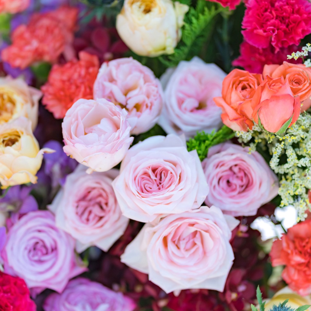 Floral Competition